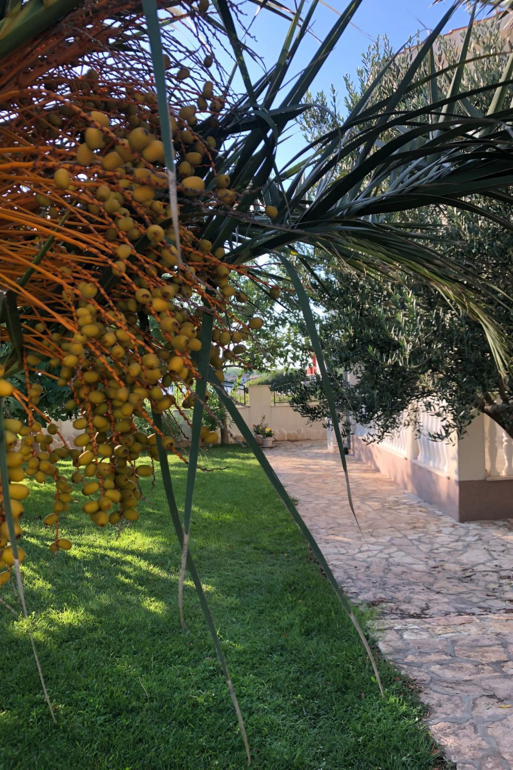 Villa Olive Grove-Drinnen