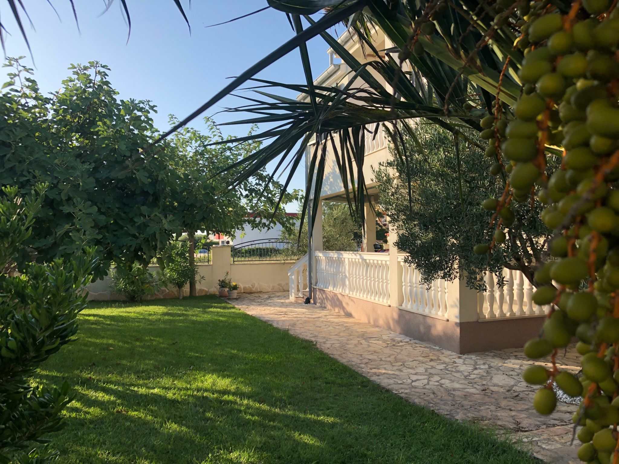 Villa Olive Grove-Drinnen