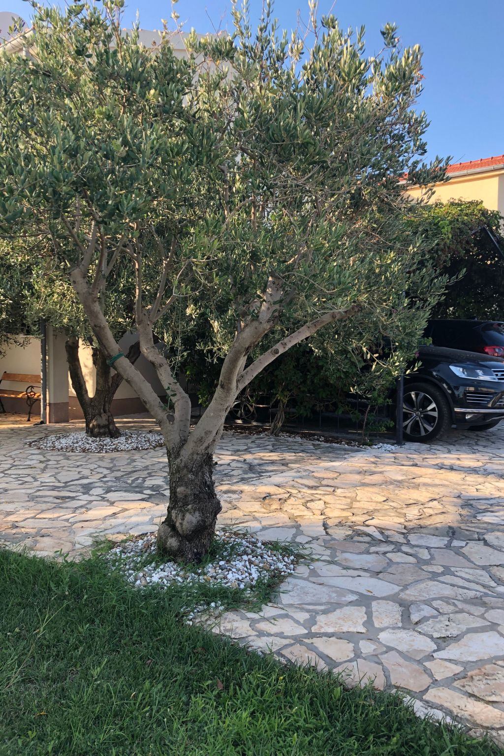 Villa Olive Grove-Drinnen