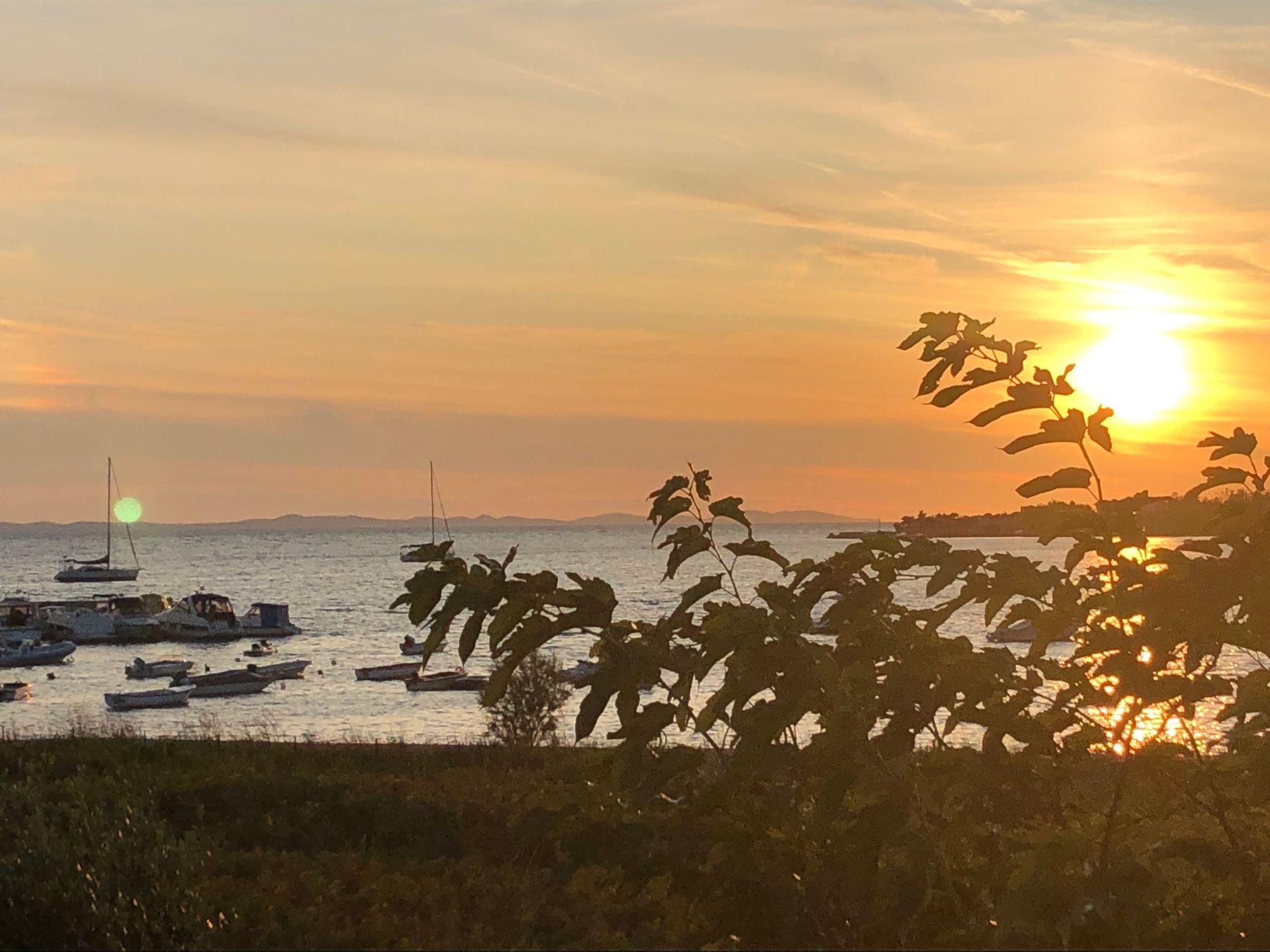 Villa Olive Grove-Drinnen