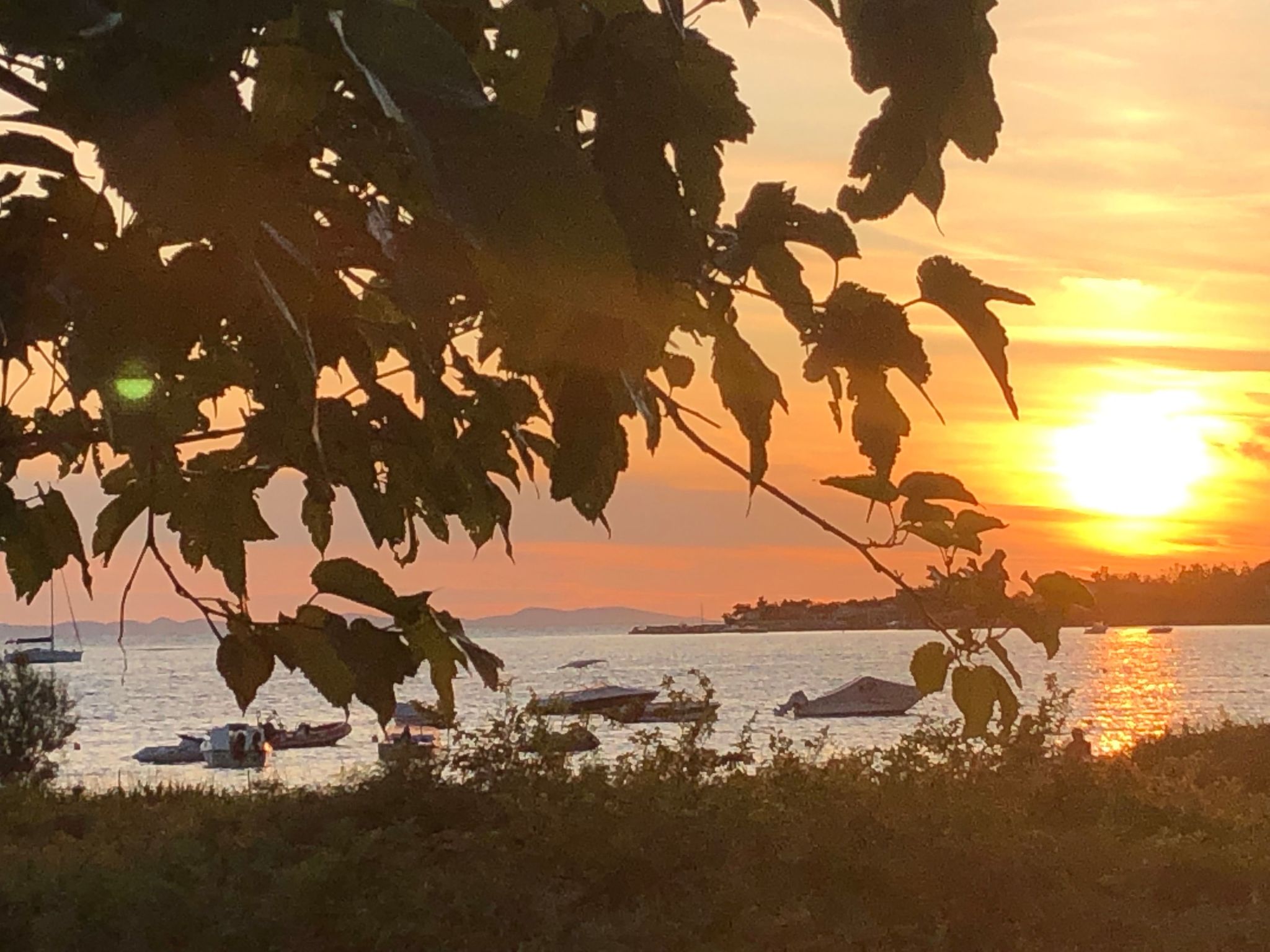 Villa Olive Grove-Drinnen