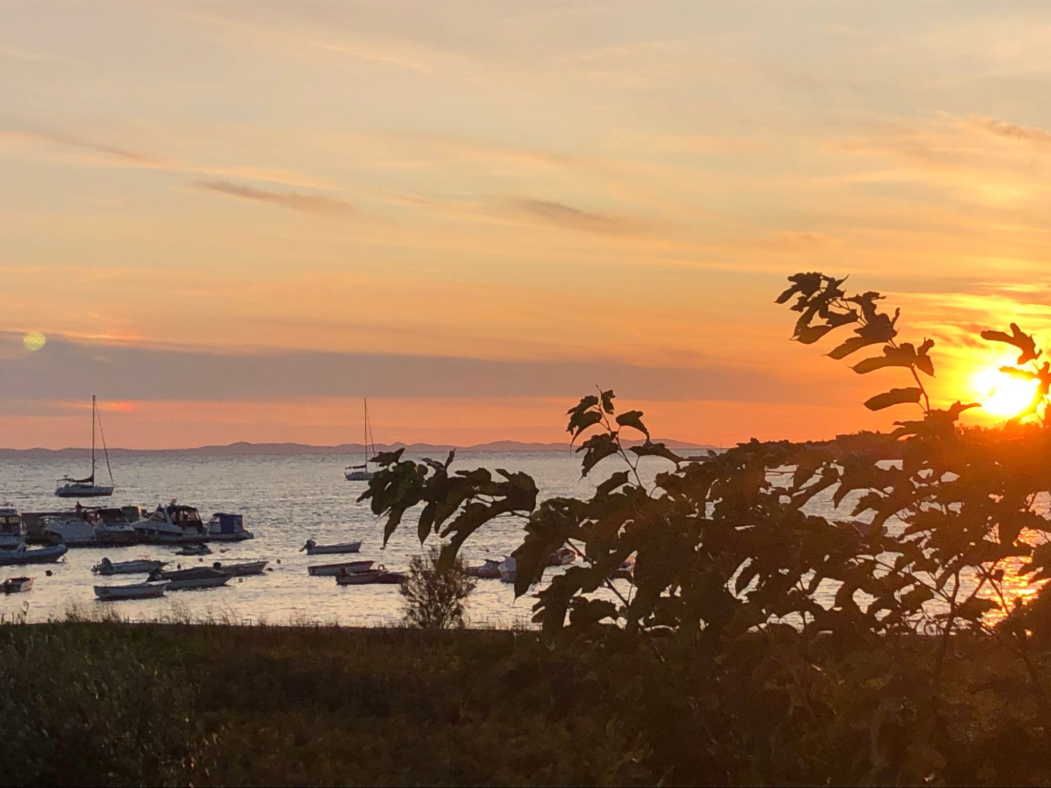 Villa Olive Grove-Drinnen