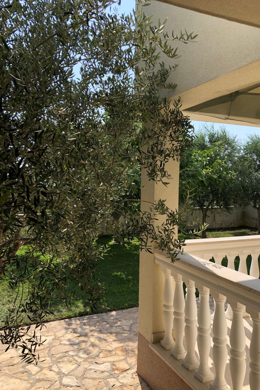 Villa Olive Grove-Drinnen