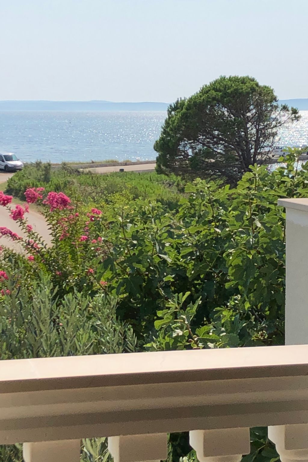 Villa Olive Grove-Drinnen