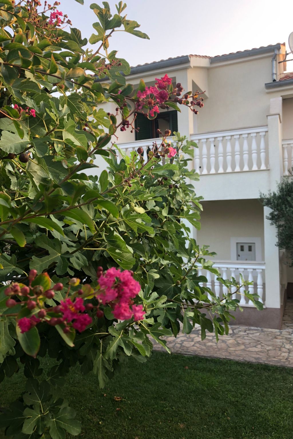 Villa Olive Grove-Drinnen