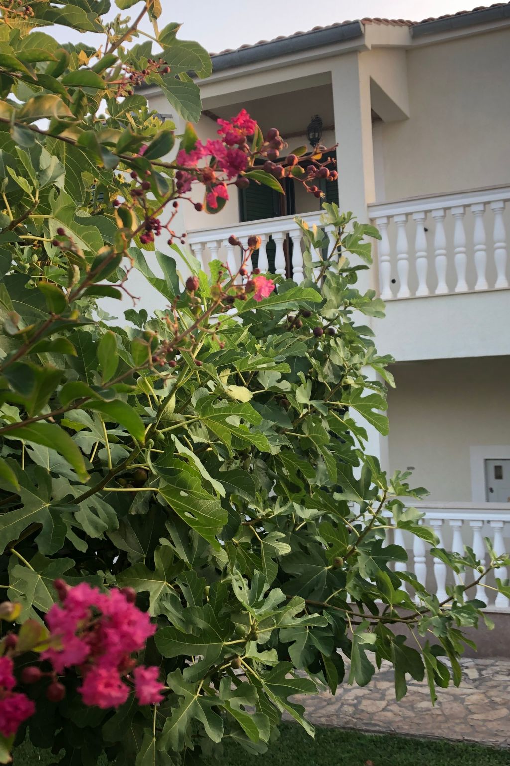 Villa Olive Grove-Drinnen