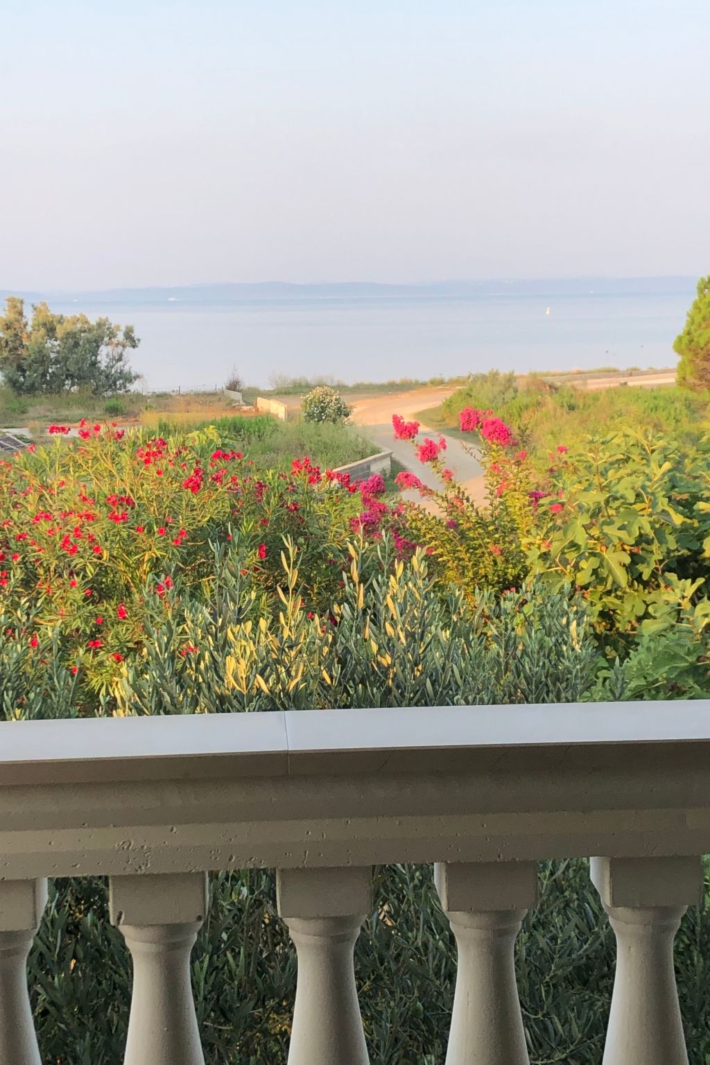 Villa Olive Grove-Drinnen