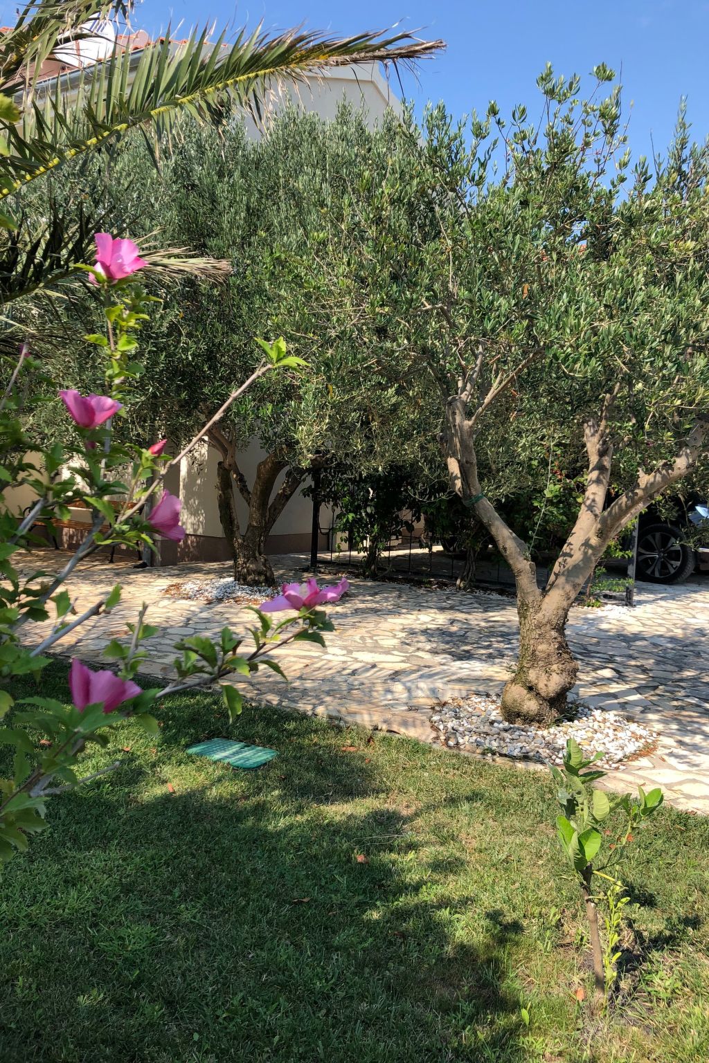 Villa Olive Grove-Drinnen