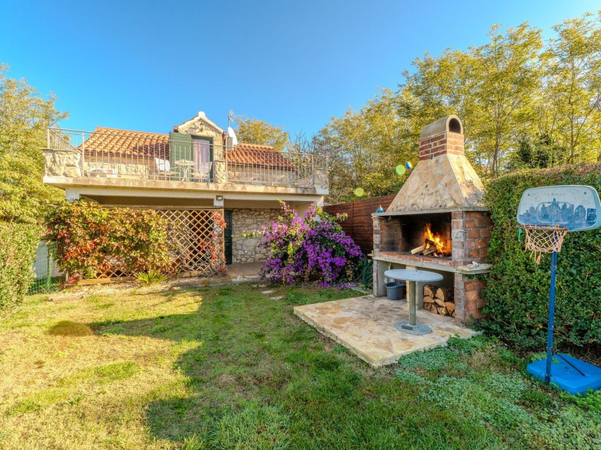 Orhideja - Agentur TA Leut