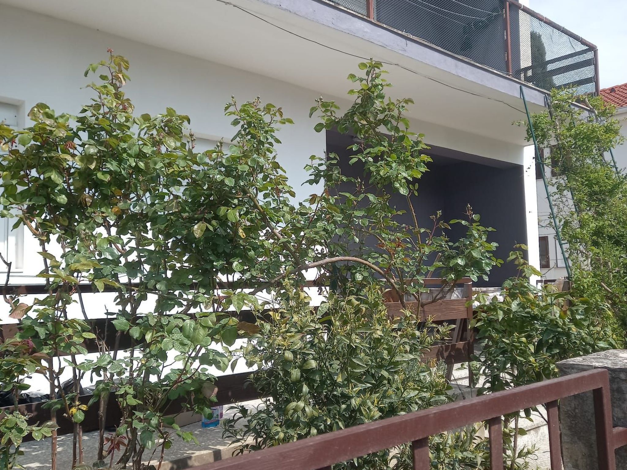 Wohnung Vanja -in der Nähe von Nin — House (1 of 18)