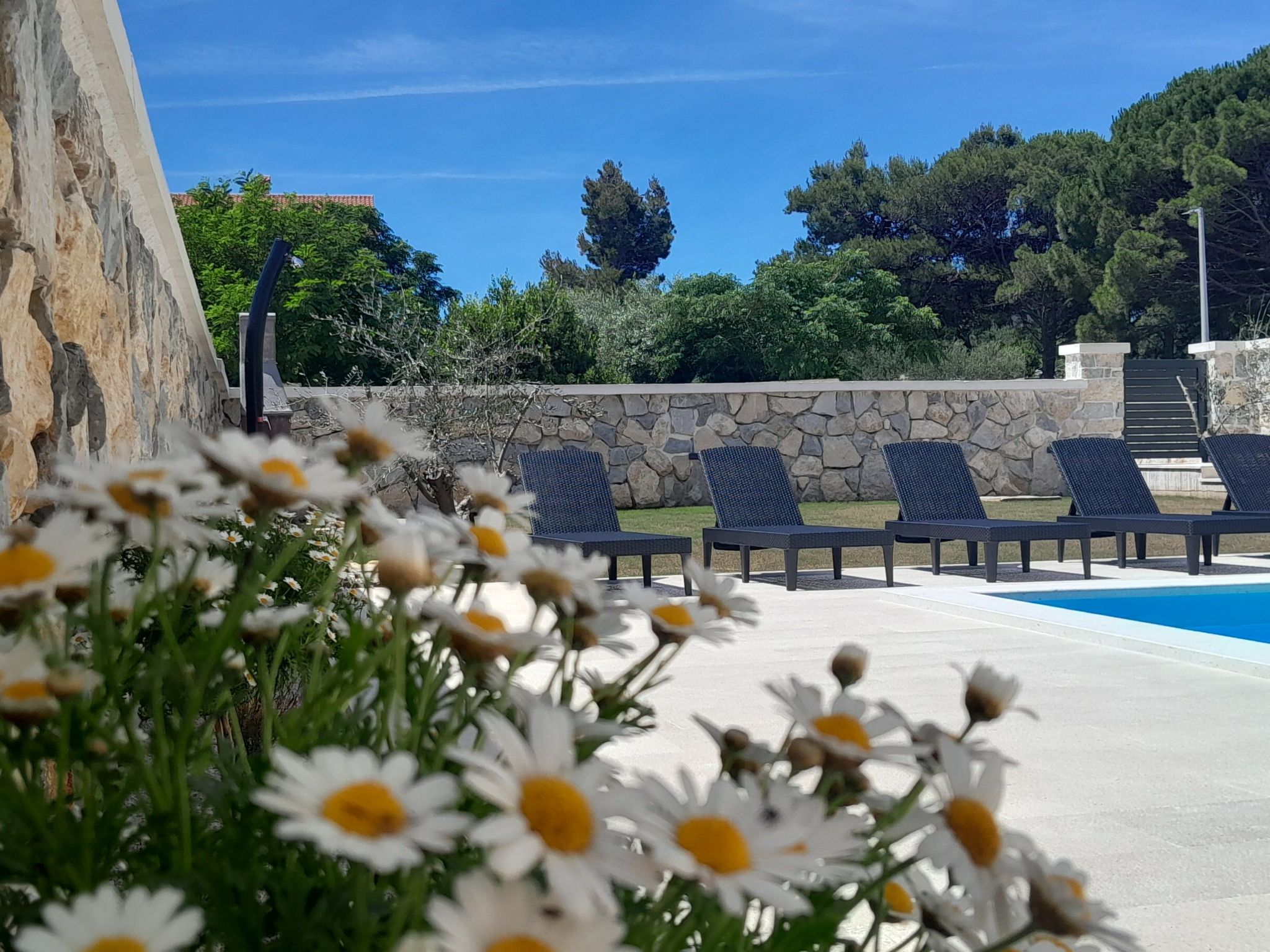 Neue Luxusvilla mit Pool - Agentur TA Leut