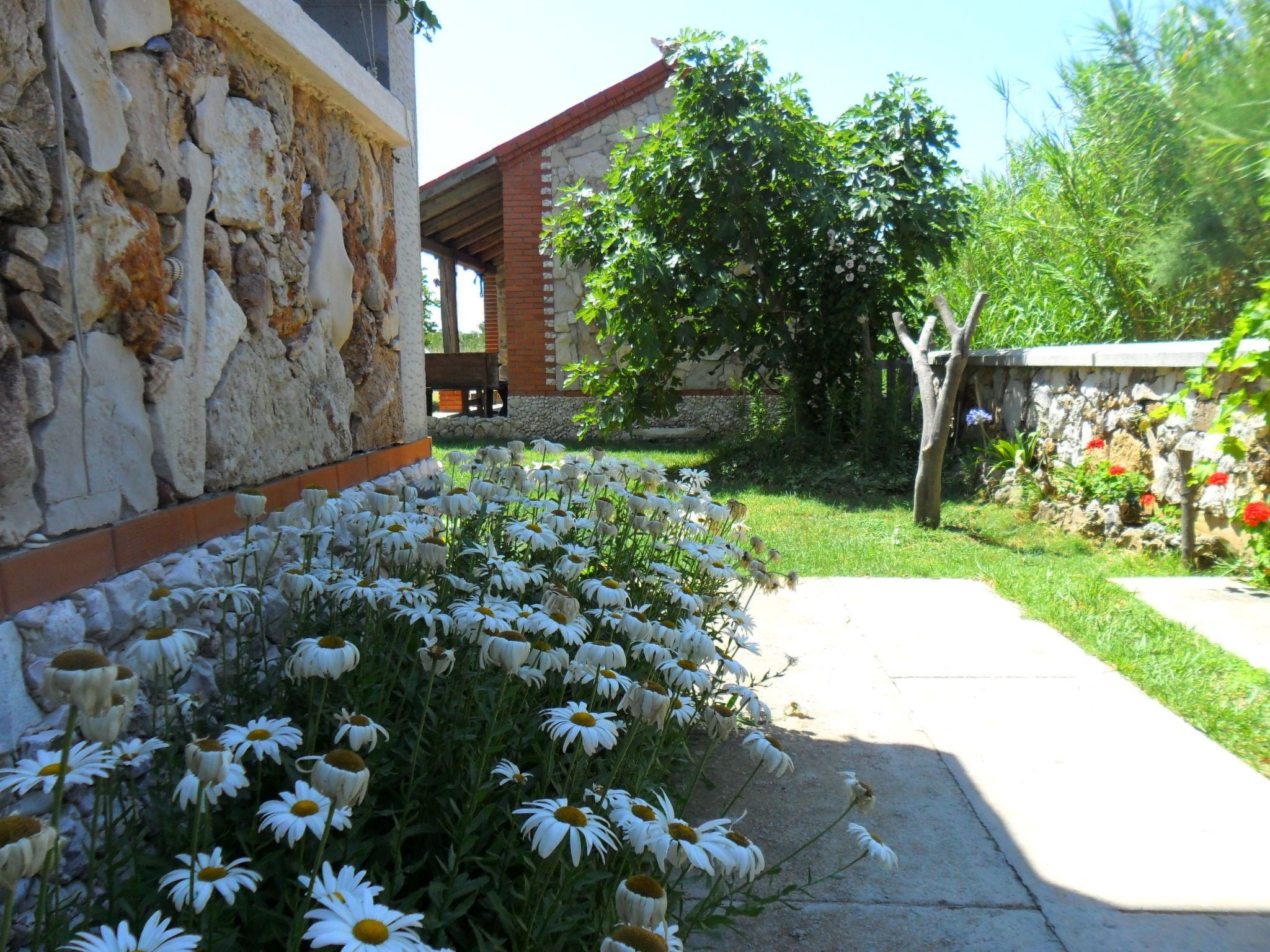 Delfin mit Meerblick - Agentur TA Leut-Draußen