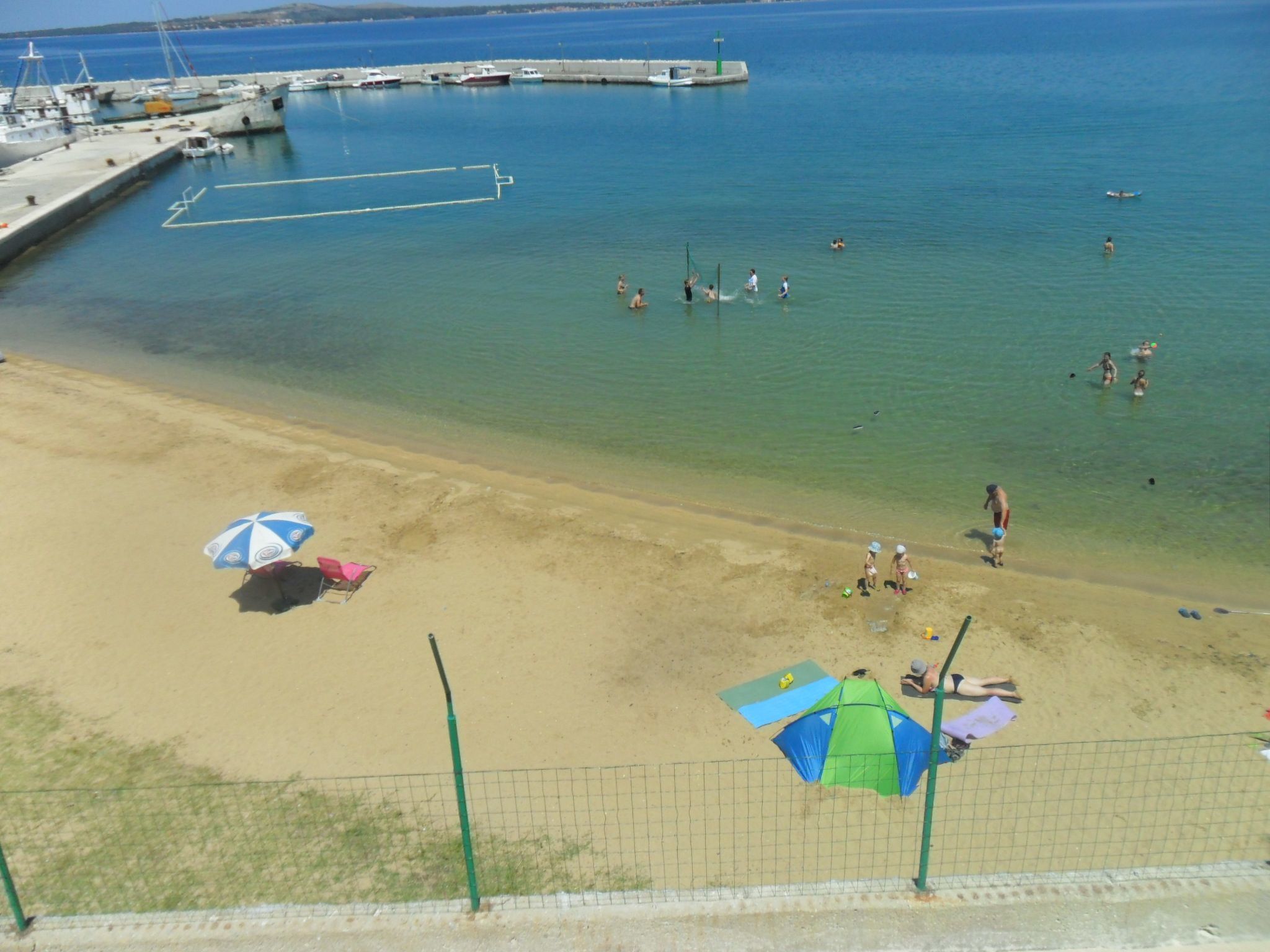 Delfin mit Meerblick - Agentur TA Leut-Draußen