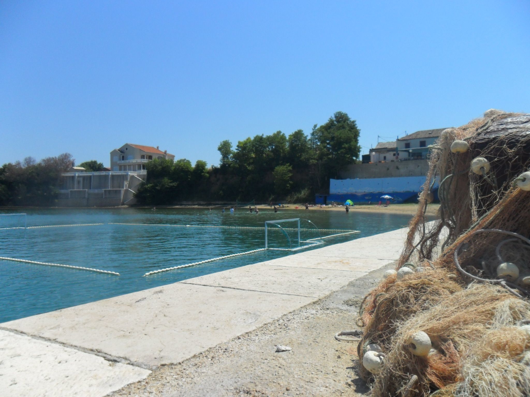 Delfin mit Meerblick - Agentur TA Leut-Image-tags.info