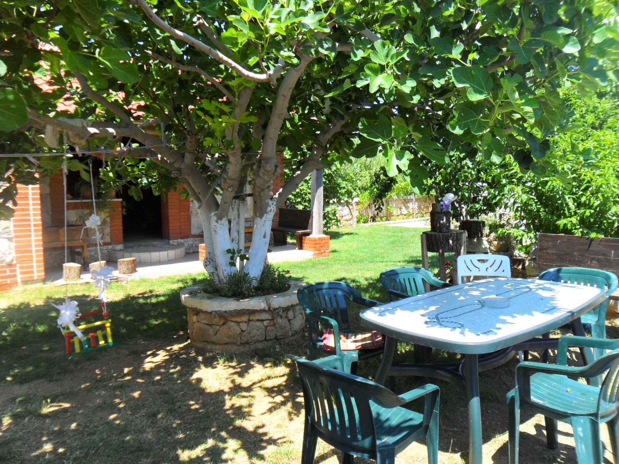 Delfin mit Meerblick - Agentur TA Leut-Draußen