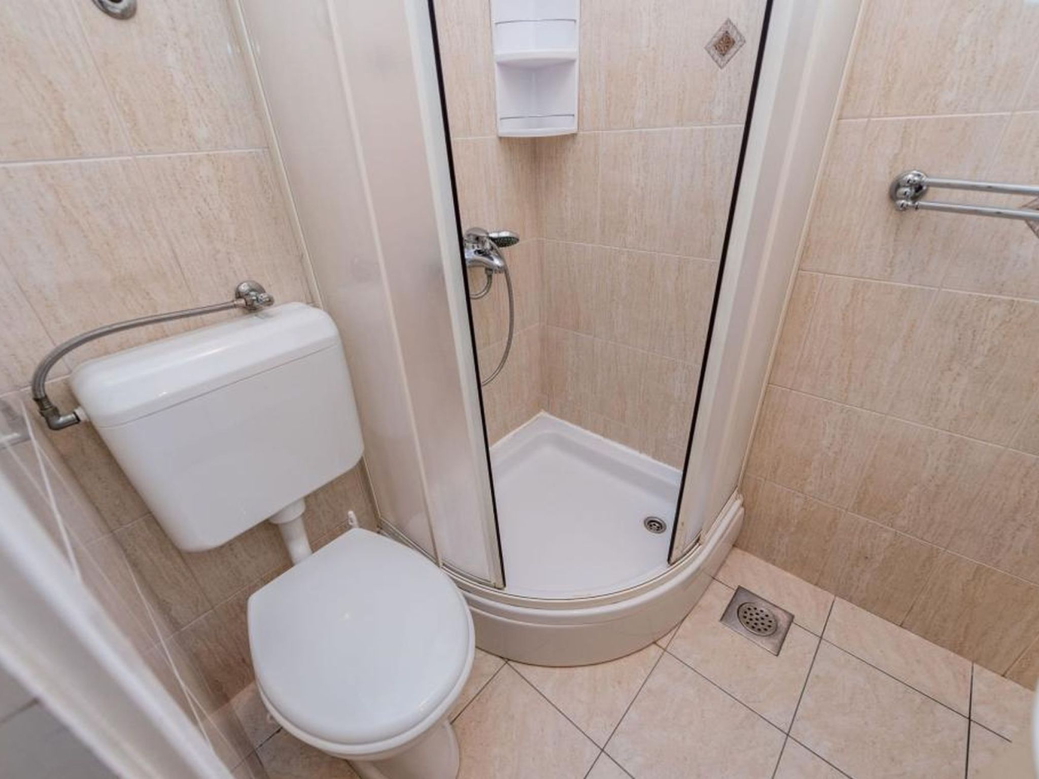 Delfin mit Meerblick - Agentur TA Leut-Drinnen