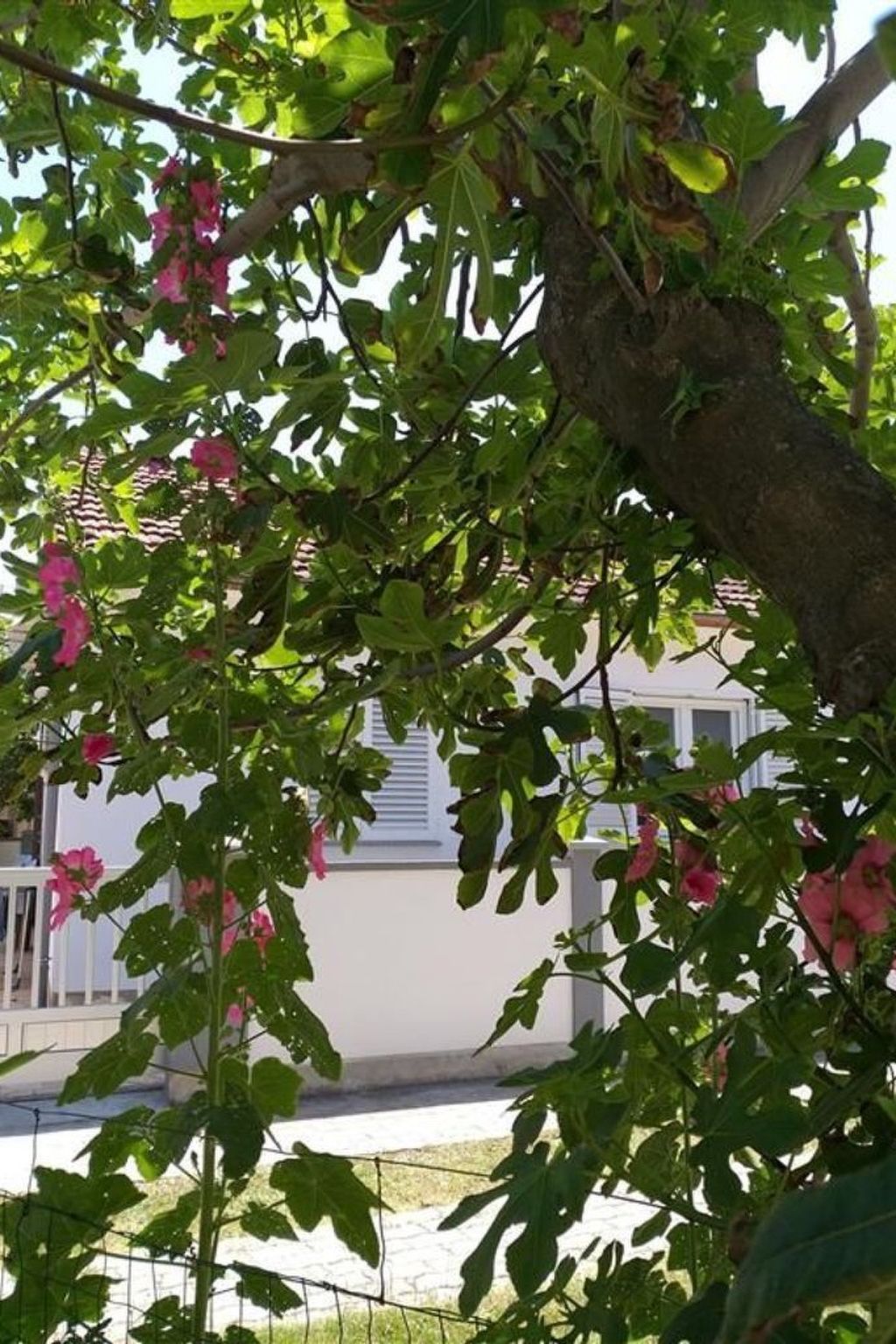 Wohnung Barby nahe Sandstrand - Agentur TA Leut-Draußen