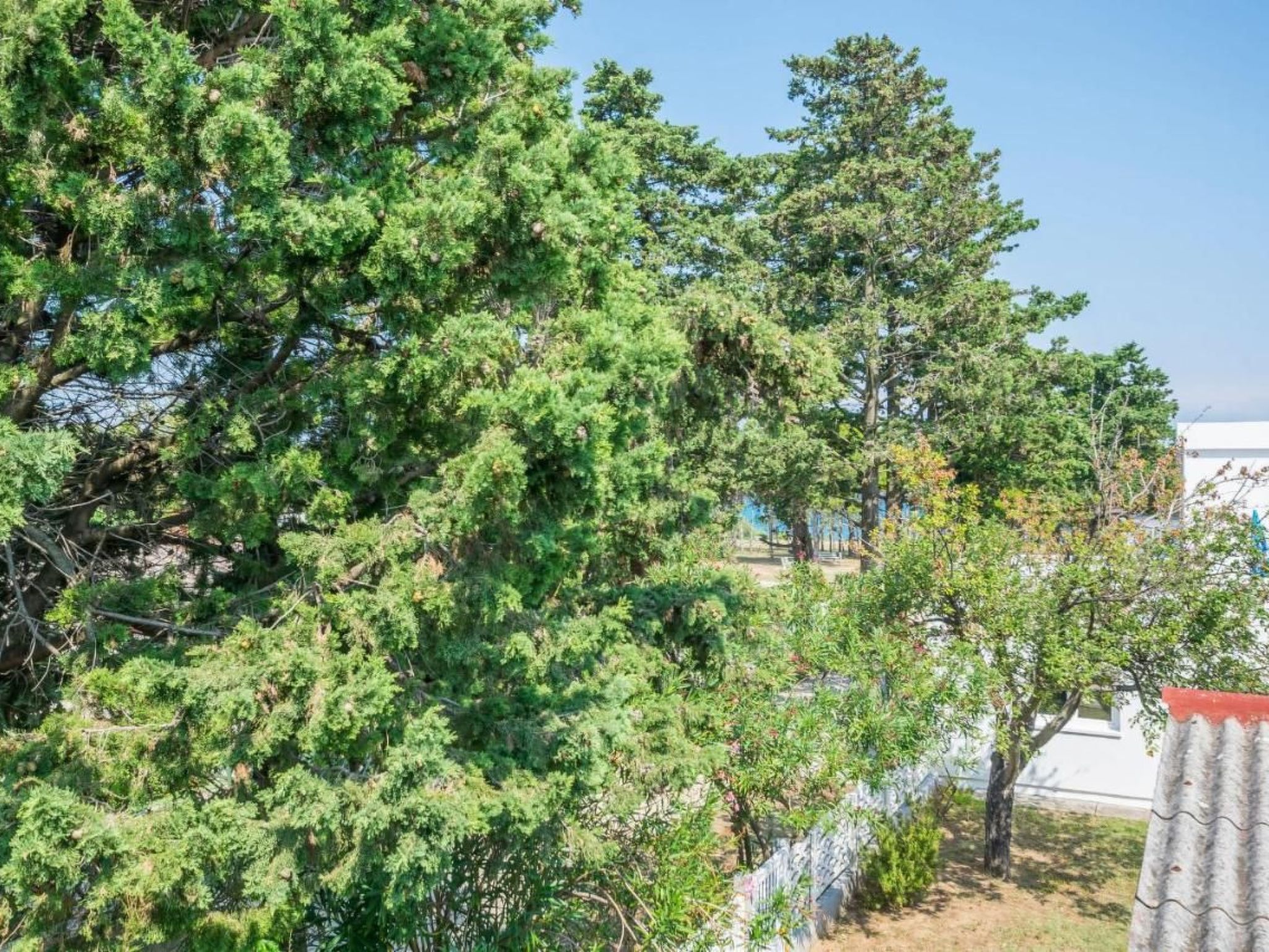 Wohnung "Mira" direkt am Strand — House (3 of 23)