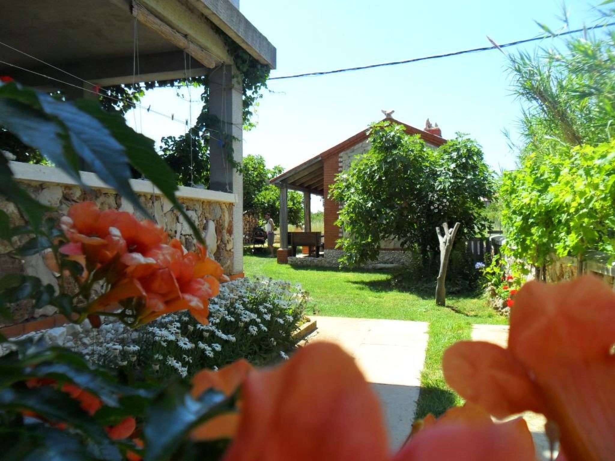 Wohnung Delfin mit Meerblick - TA Leut Agency — House (4 of 18)