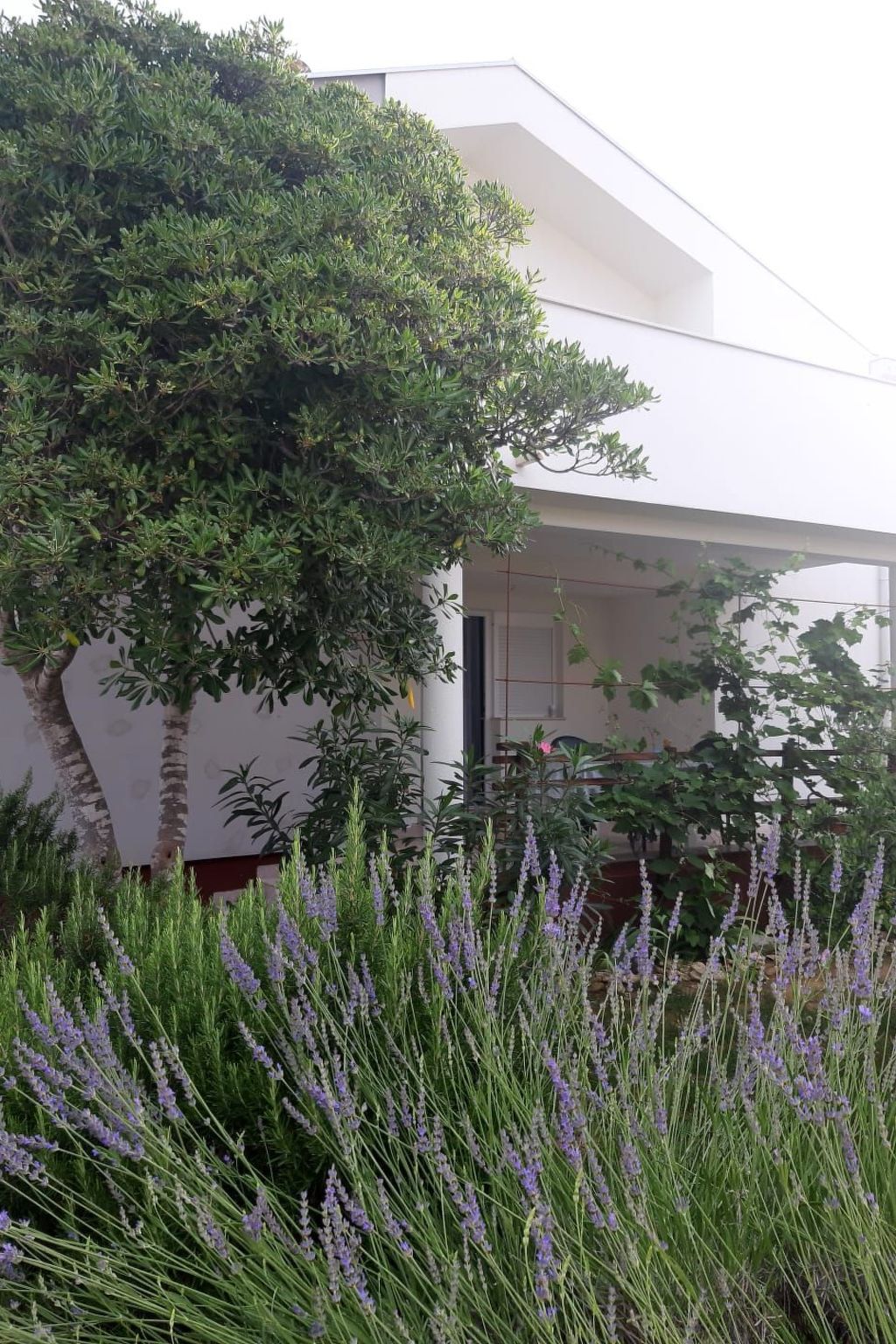 Wohnung Oase in der Nähe von Queen Beach - TA Leut Agency