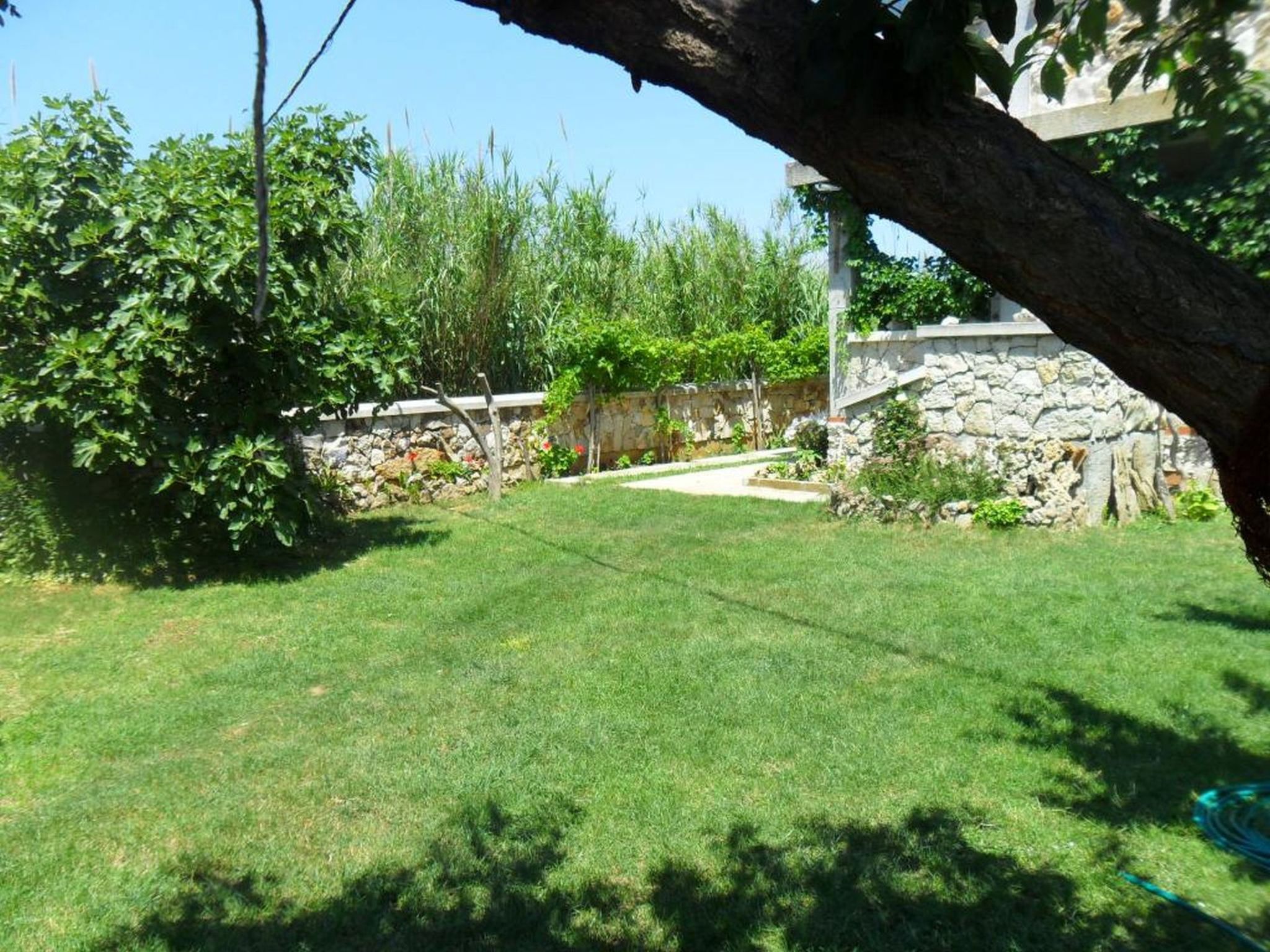 "Delfin prizemlje" — House (4 of 19)