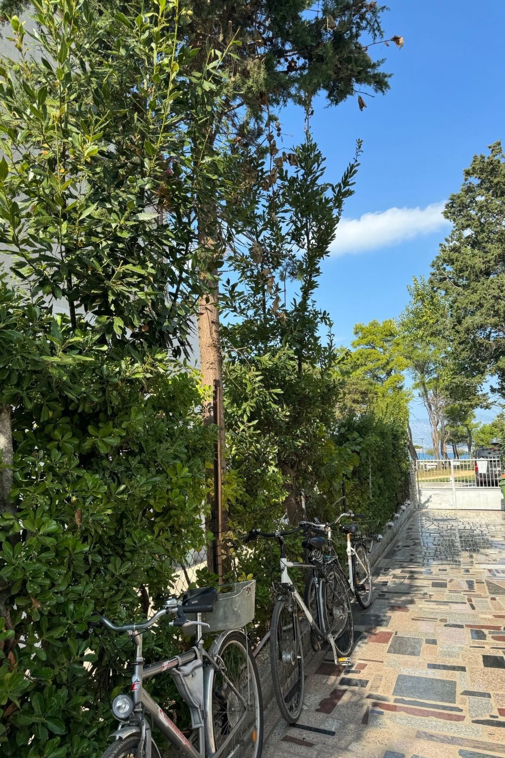 Vakantiehuis met 1 slaapkamer(s) in Privlaka (Kroatië) voor 2 personen