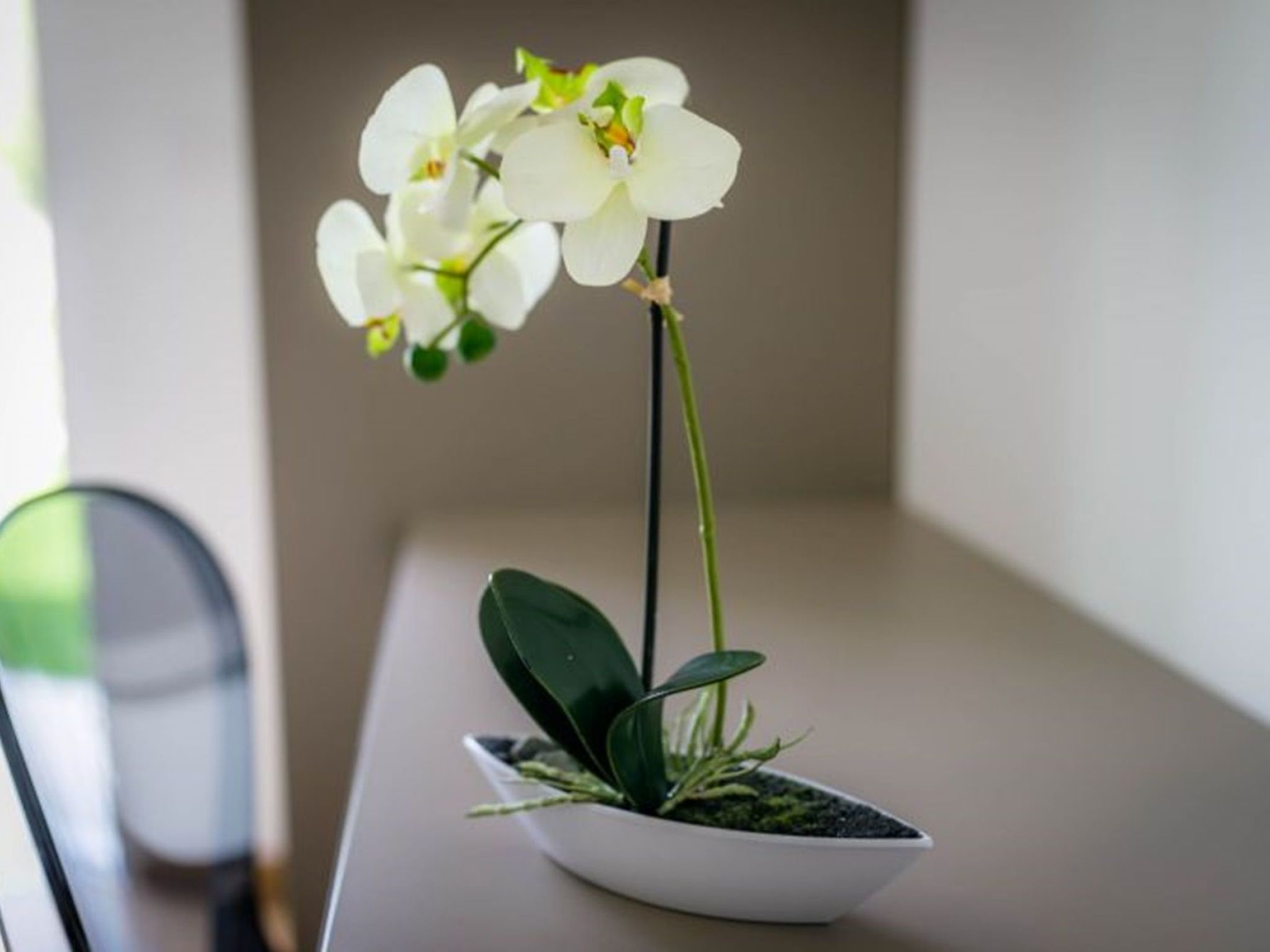 Vila Megy -  ID 2209-Image-tags.info