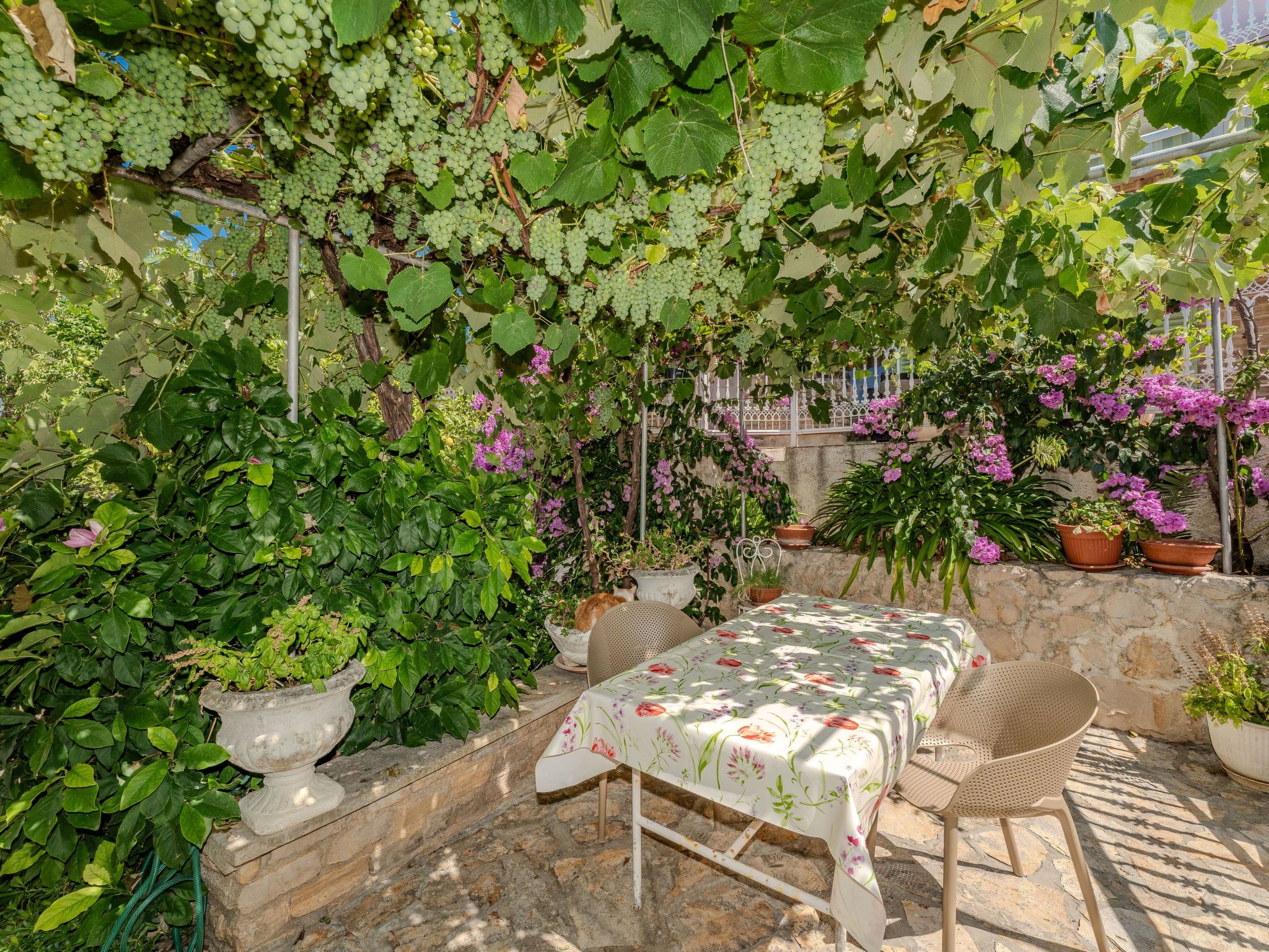 Gartenvilla am Meer Kožino-Binnen