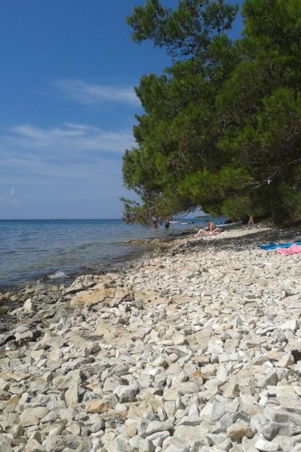 DANTIN BLU-Image-tags.info