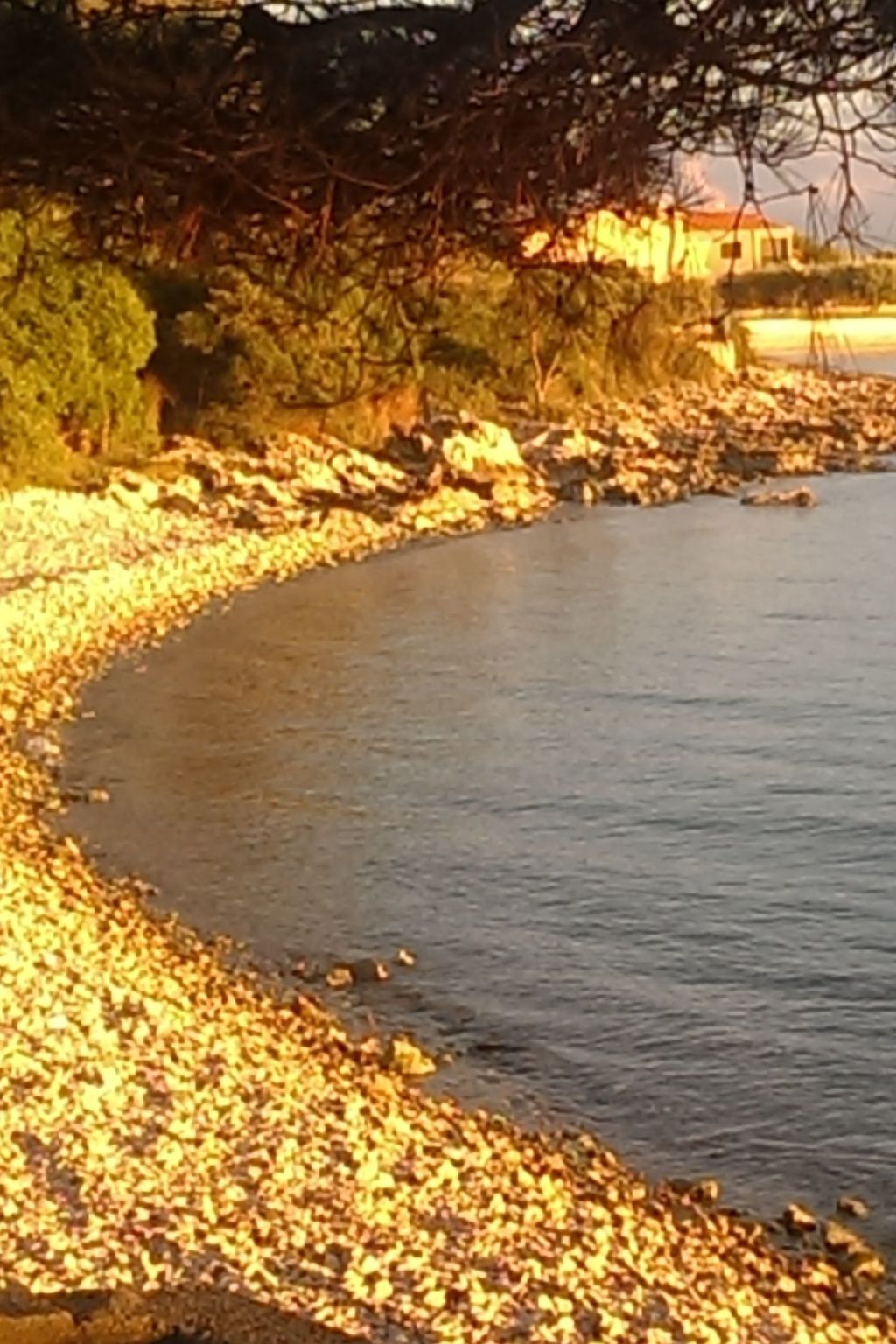 DANTIN BLU-Image-tags.info