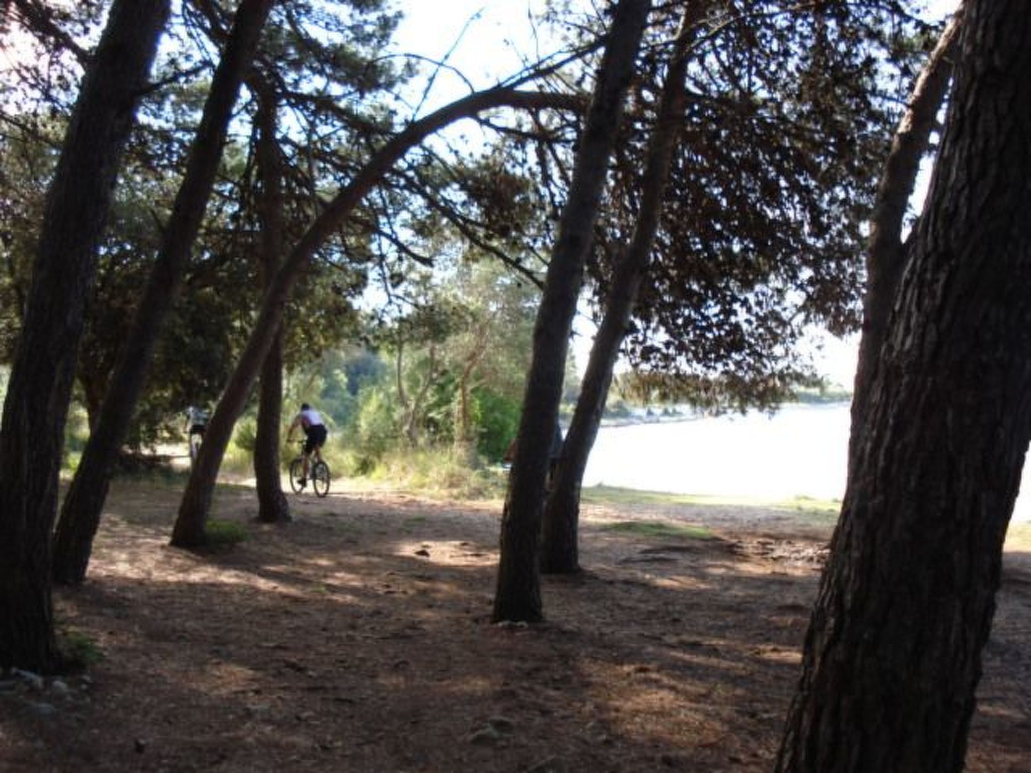 DANTIN BLU-Image-tags.info