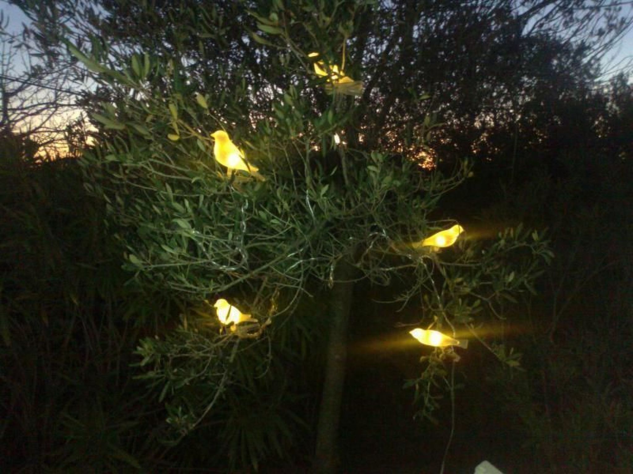 Traumhafte Villa Punta Skala mit 2 Terrassen-Image-tags.info