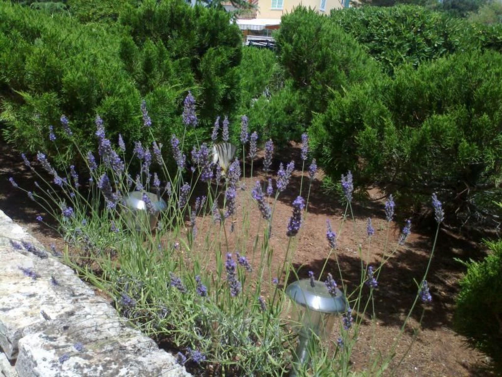 Traumhafte Villa Punta Skala mit 2 Terrassen-Image-tags.info