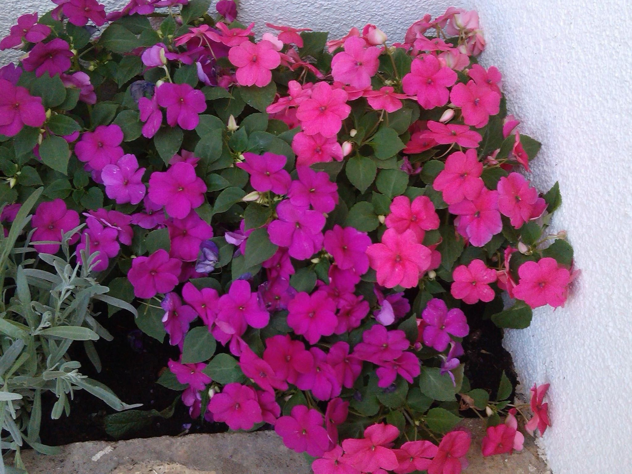 Traumhafte Villa Punta Skala mit 2 Terrassen-Image-tags.info