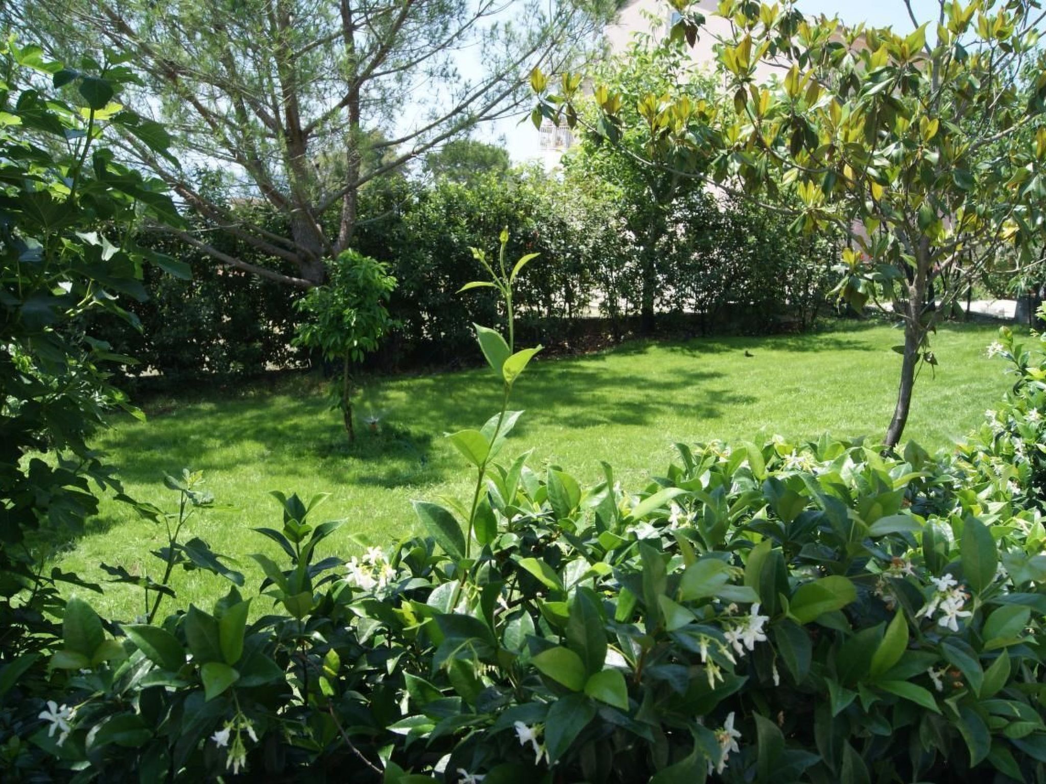 Appartement in Kožino mit Garten, Terrasse und Grill-Binnen