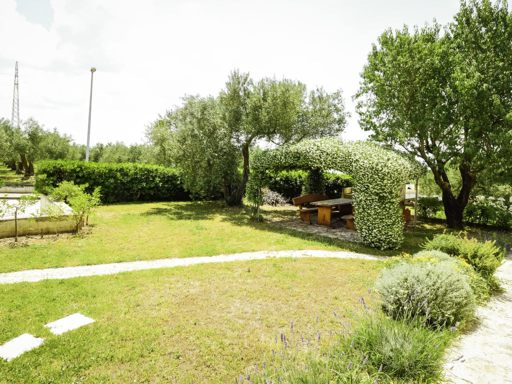 Bild 15