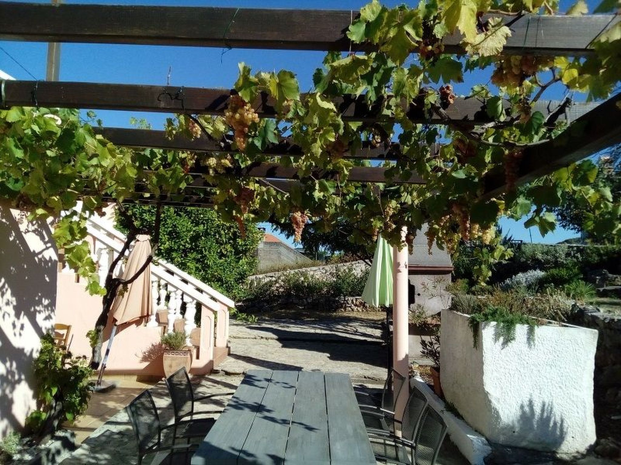 In Dobropoljana mit Freiterrasse-Binnen