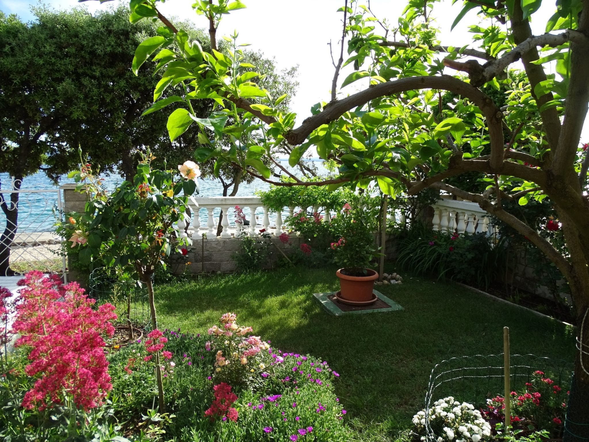 Wohnung Vlahov-Image-tags.info