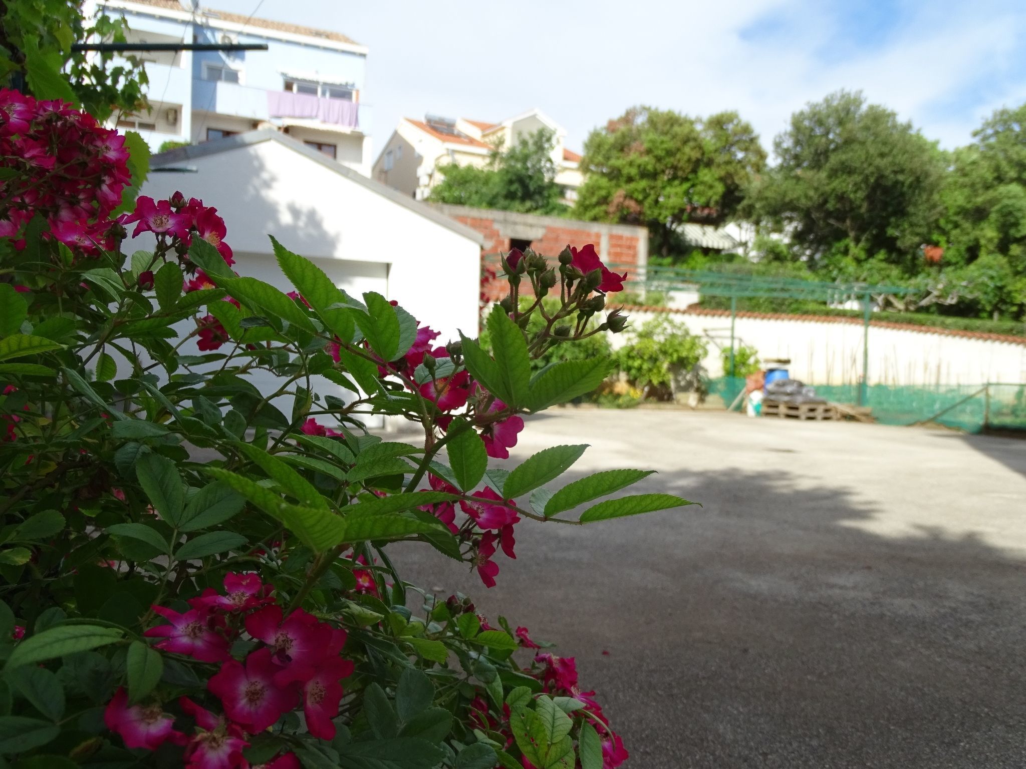 Wohnung Vlahov-Image-tags.info