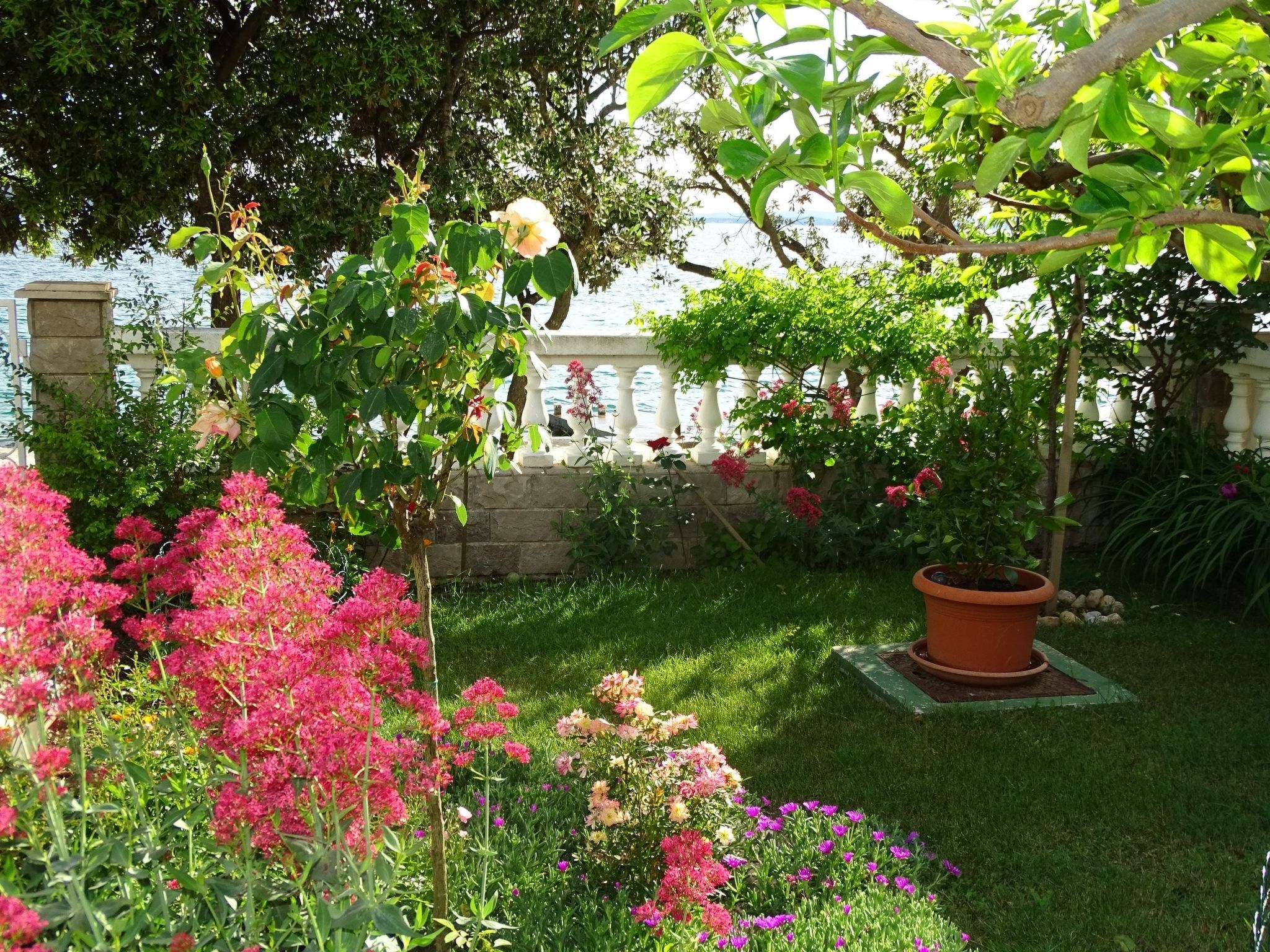 Wohnung Vlahov-Image-tags.info