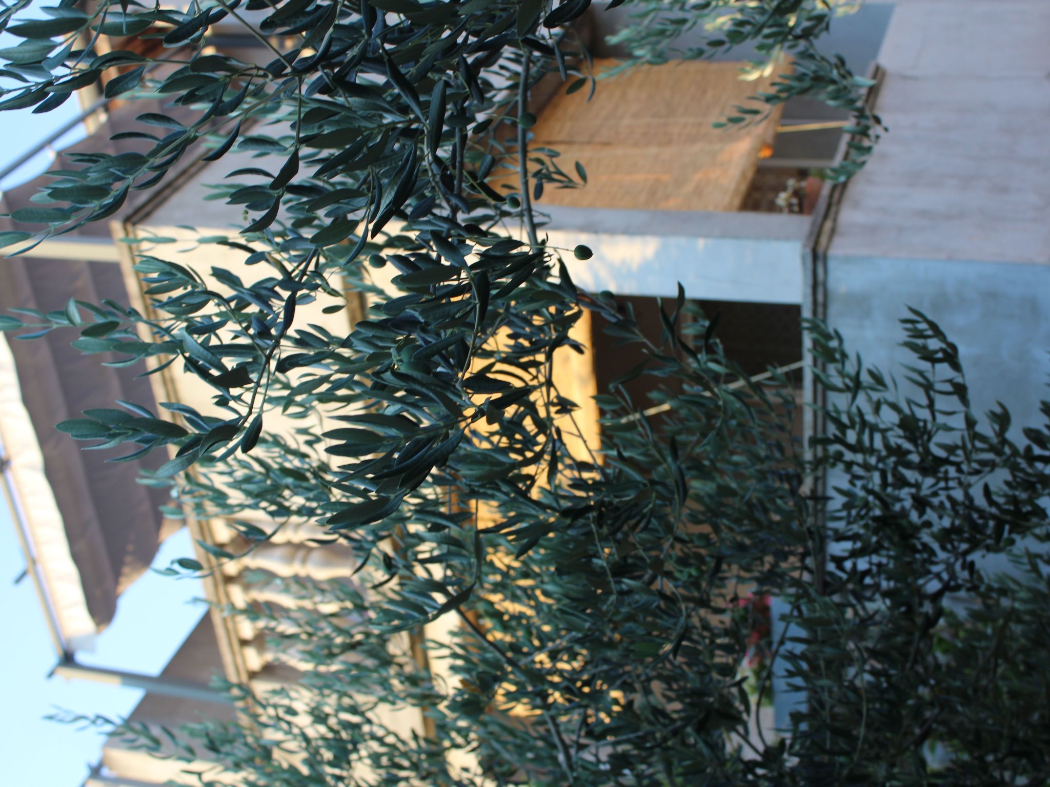 Ruhiges Appartement mit Terrasse in Strandnähe-Image-tags.info