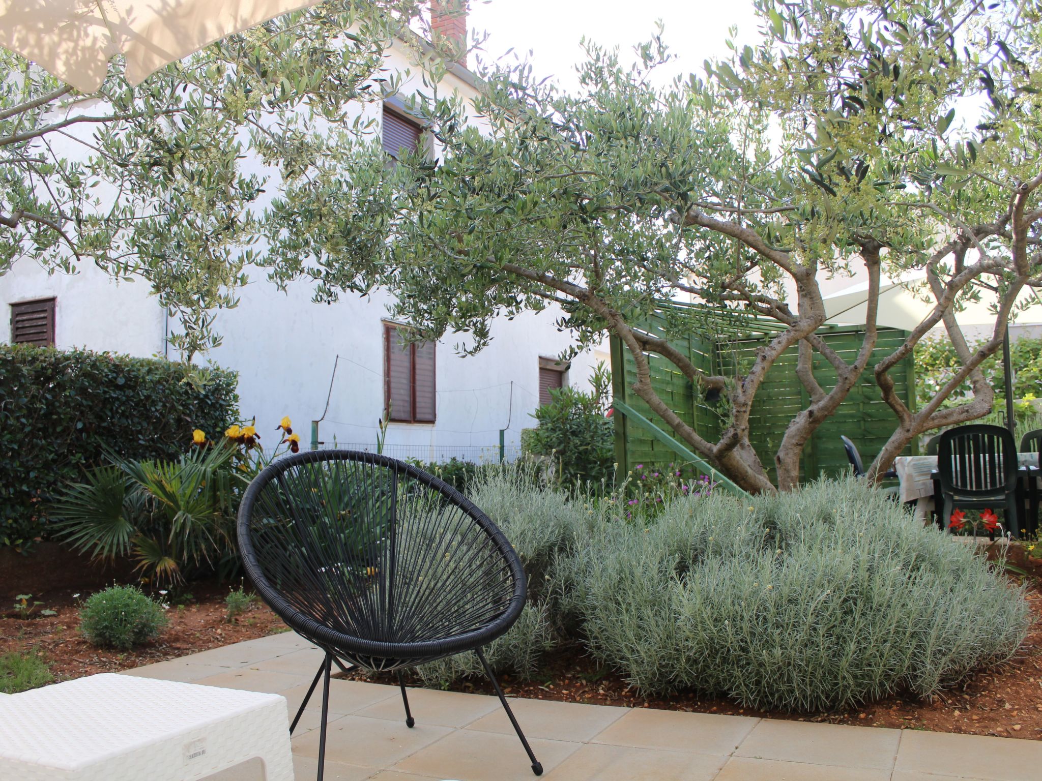 Ruhiges Appartement mit Terrasse in Strandnähe-Image-tags.info