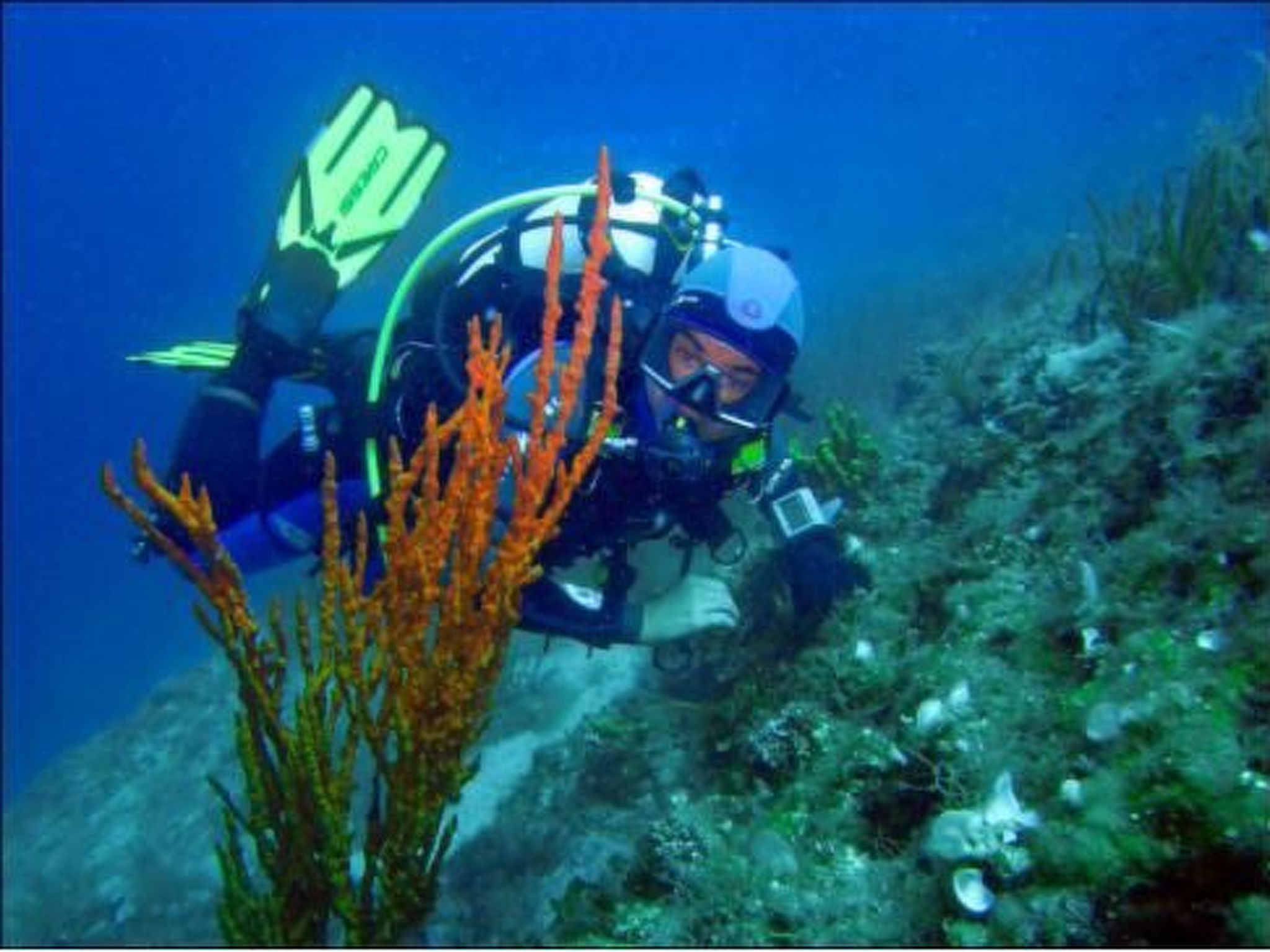 Ruhiges Appartement mit Terrasse in Strandnähe-Image-tags.info