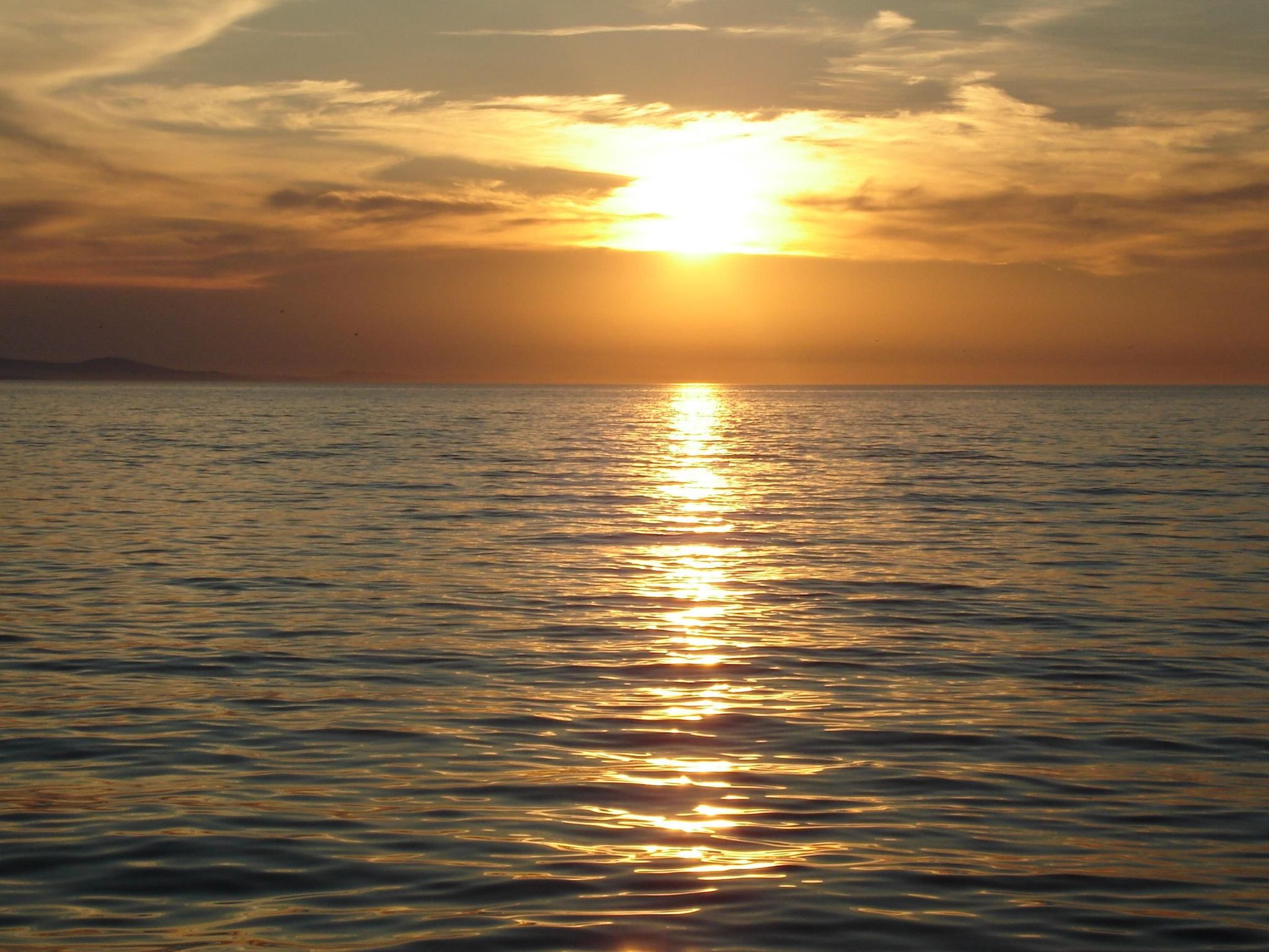 Ruhiges Appartement mit Terrasse in Strandnähe-Image-tags.info