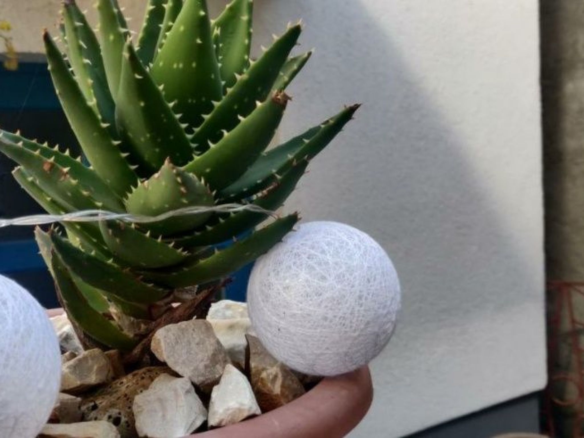 Photo of Gemütliche Ferienwohnung im Erdgeschoss