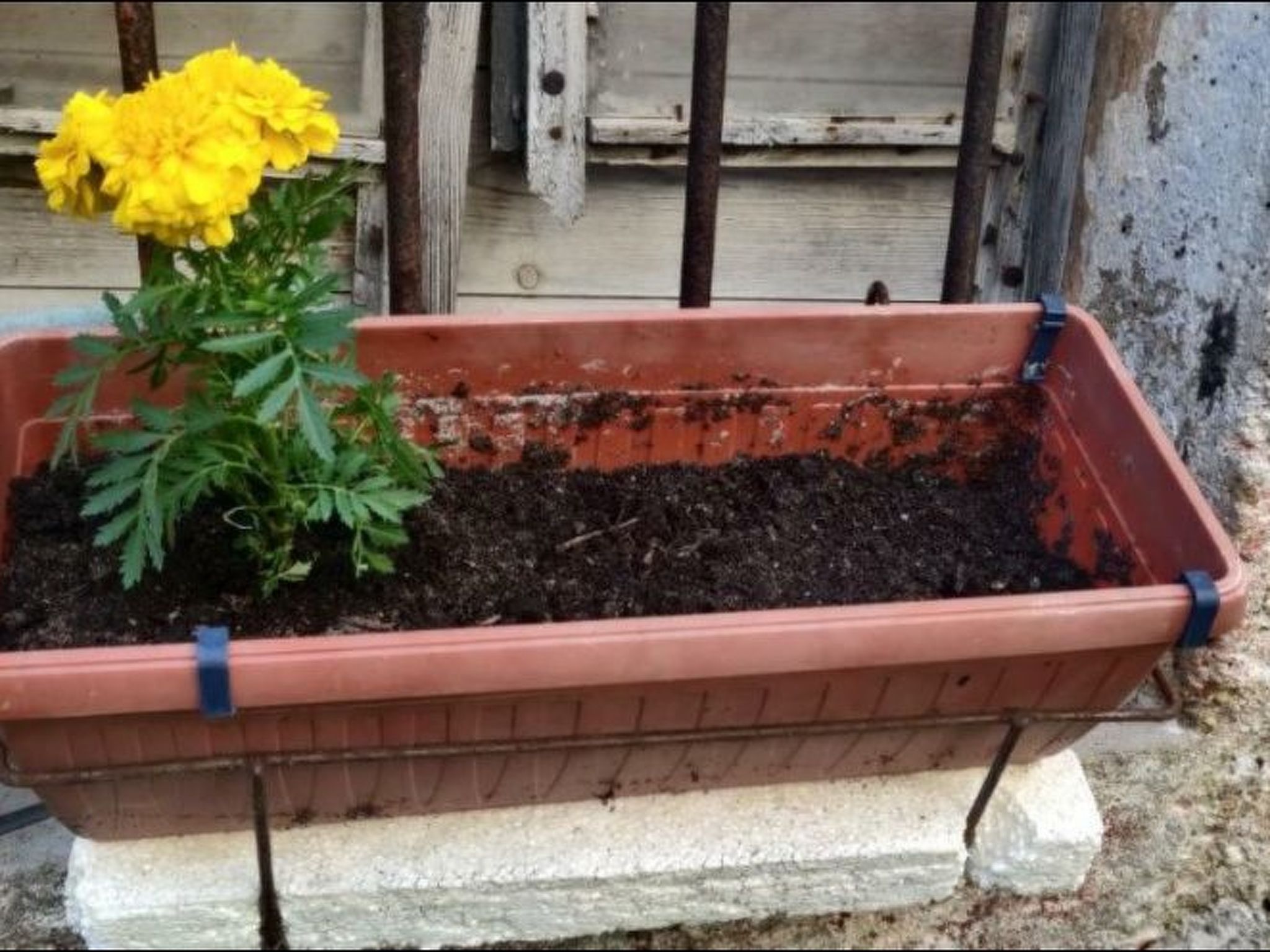 Photo of Gemütliche Ferienwohnung im Erdgeschoss