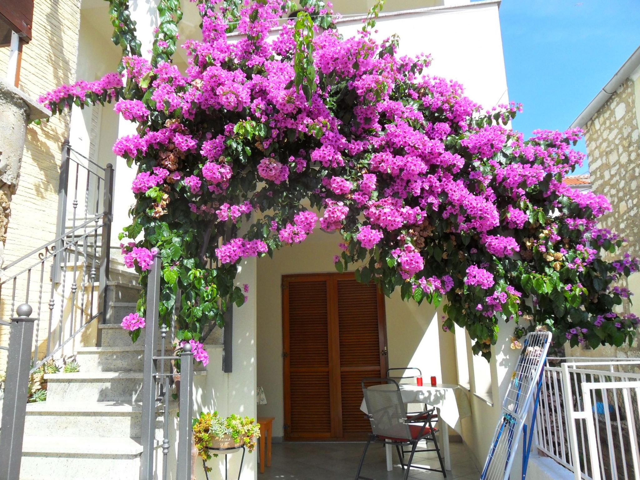 Im Erdgeschoss mit Panorama-Blick-Binnen