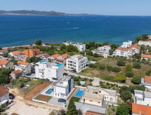 Sinjorina