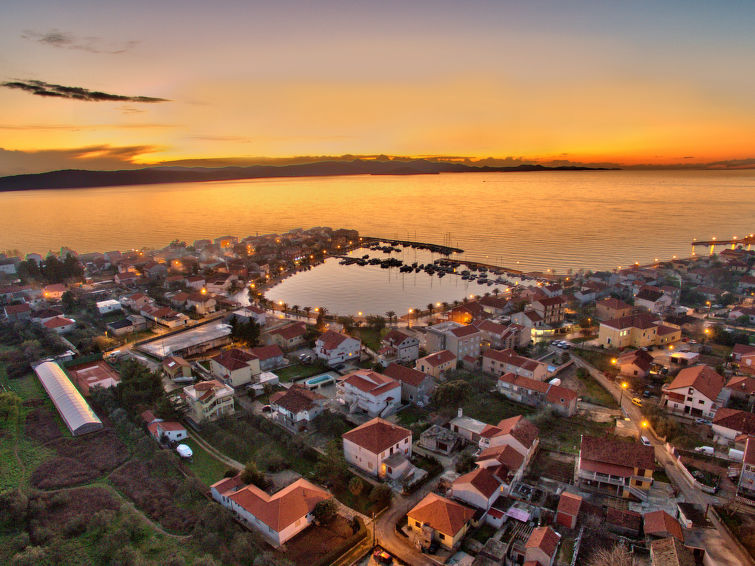 Photo of Smokva