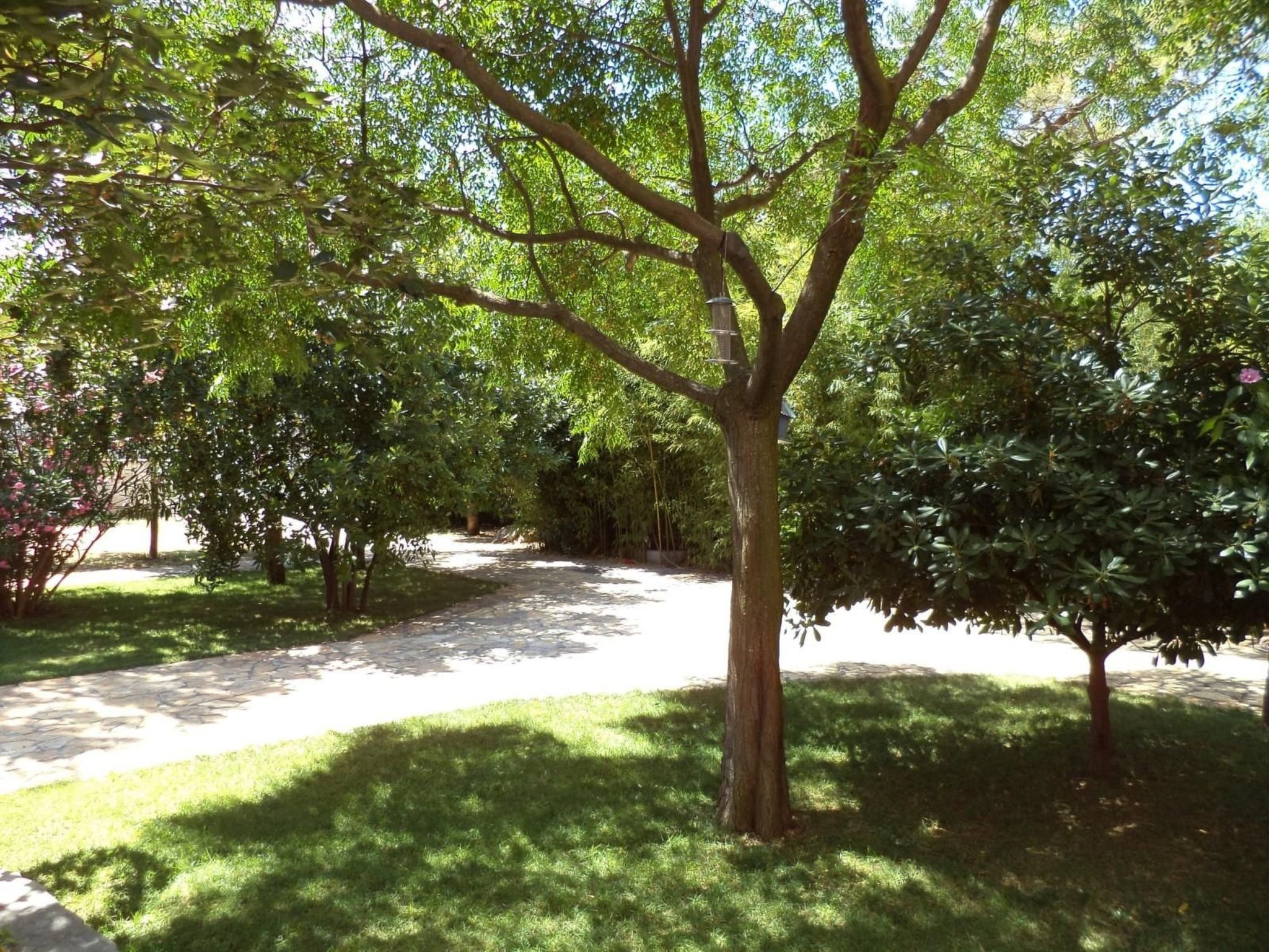 Strandnahes Haus Lolinka mit schattiger Terrasse-Image-tags.info